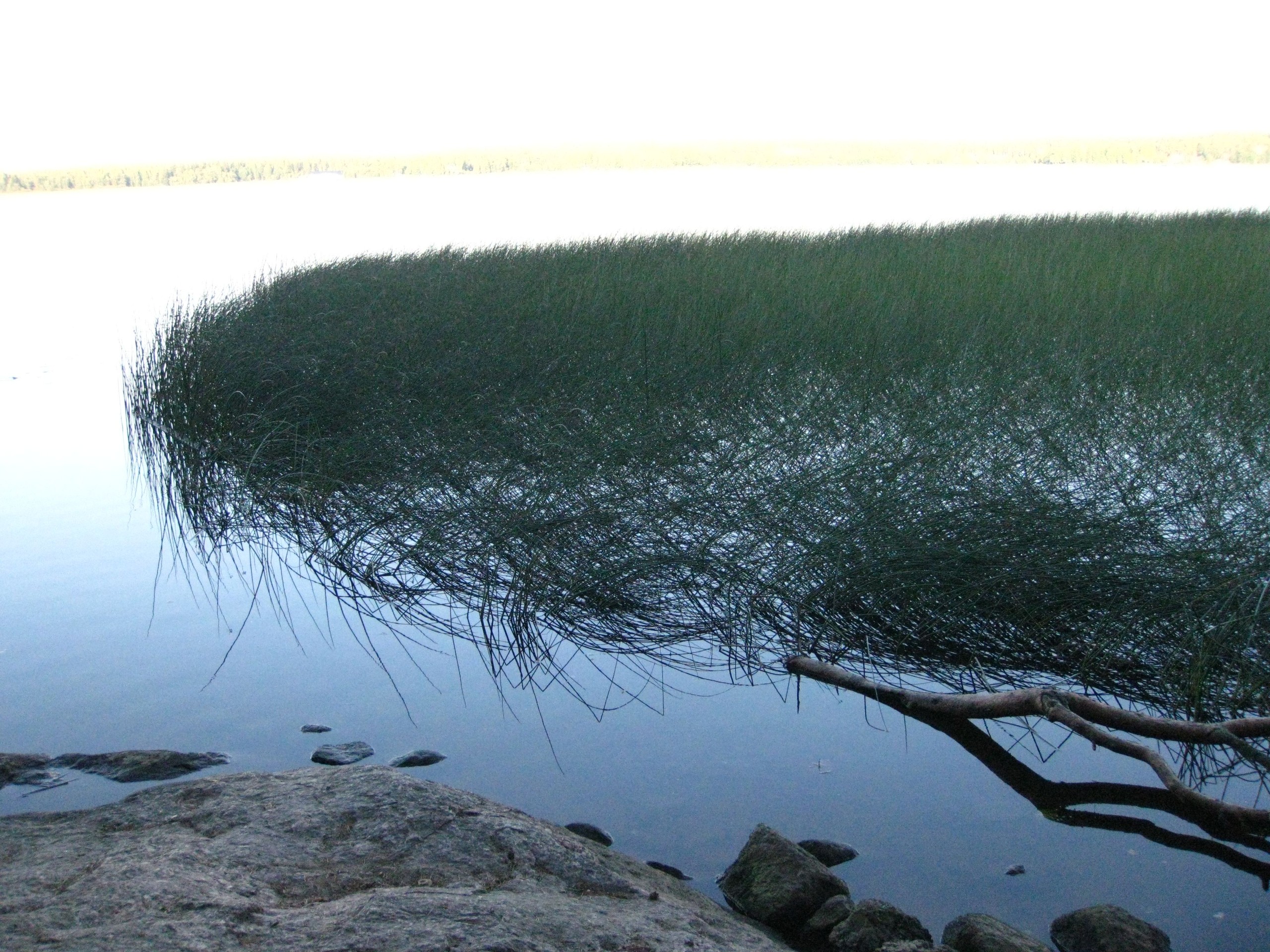 Озеро белянское