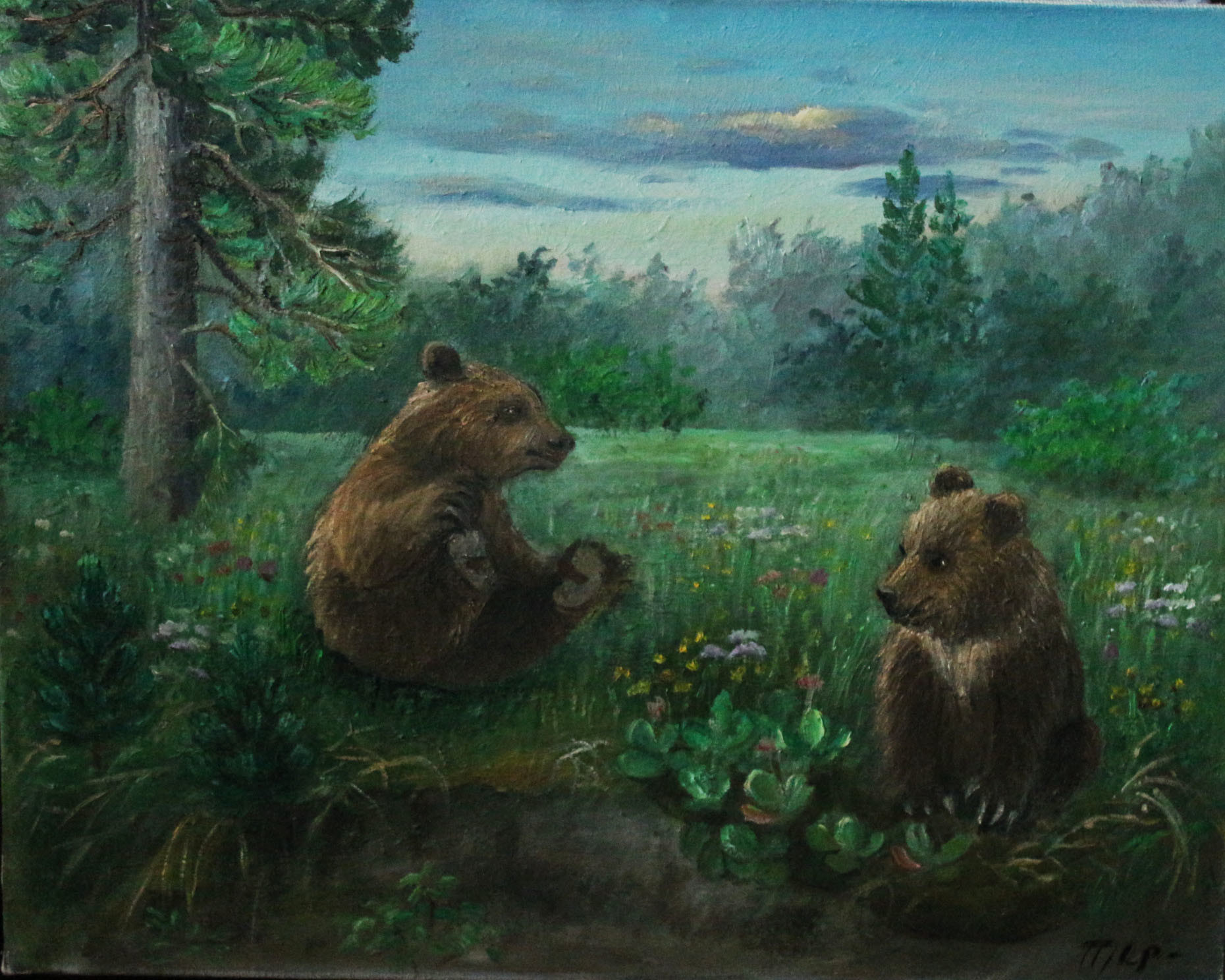 Медведица С Медвежатами В Лесу