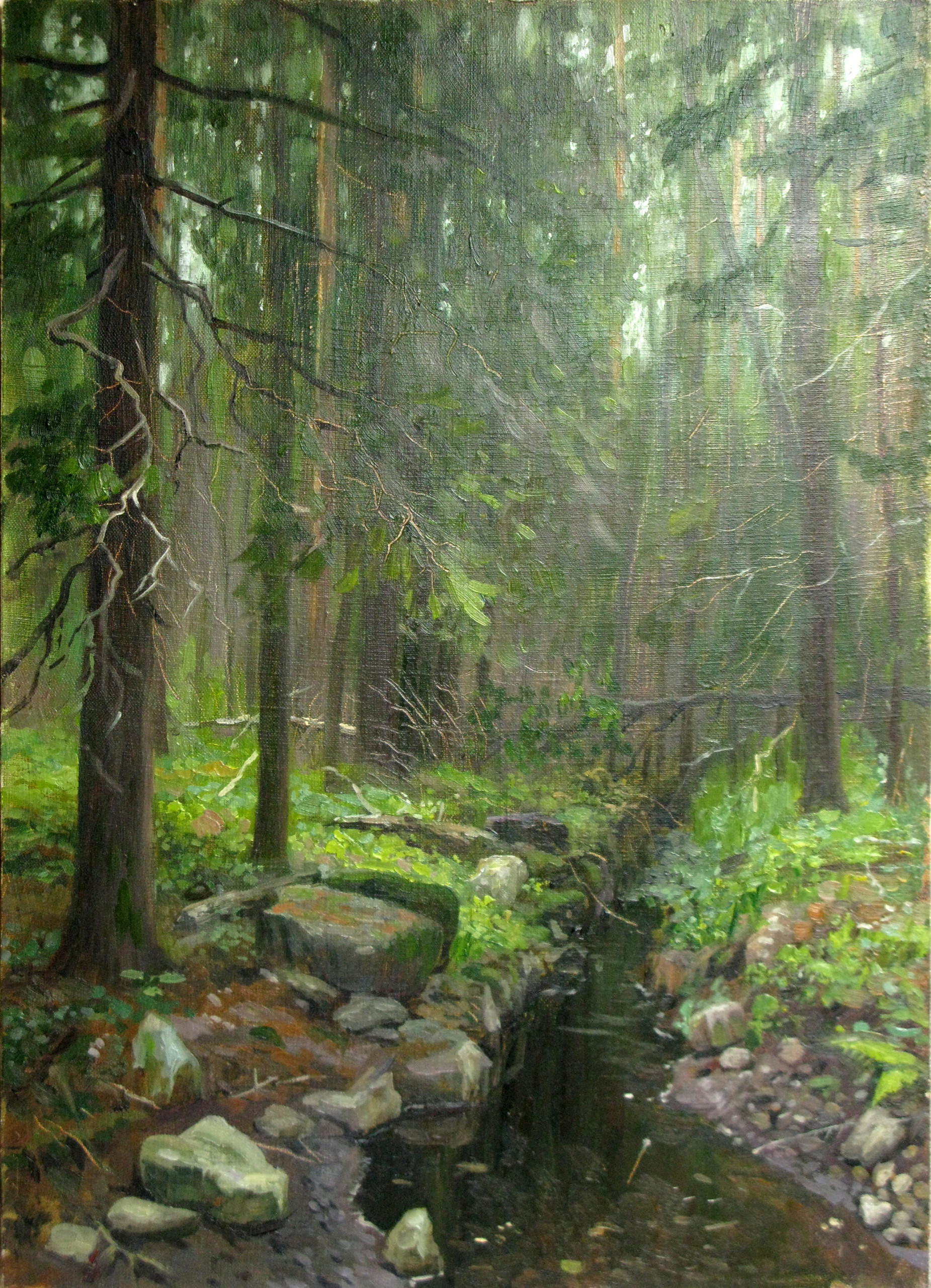 Лесная глухомань
