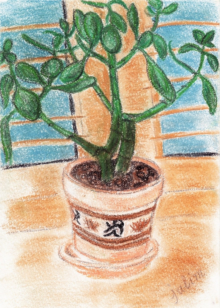 Рисование домашних растений